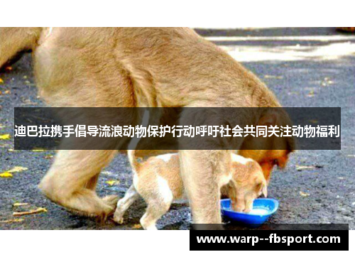 迪巴拉携手倡导流浪动物保护行动呼吁社会共同关注动物福利 迪巴拉携手倡导流浪动物保护行动呼吁社会共同关注动物福利