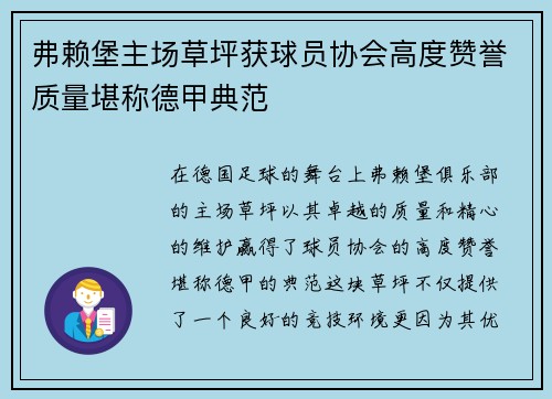 弗赖堡主场草坪获球员协会高度赞誉质量堪称德甲典范